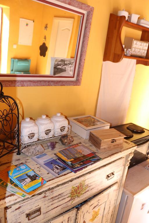 Apartman Na Zlatom Dvore Banská Štiavnica 客房 照片